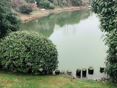 -桃花岛景观公园