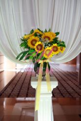 -上海浦东喜来登由由大酒店·宴会厅