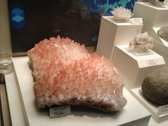 -天津自然博物馆
