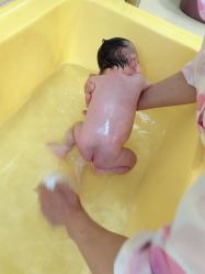 -鸿睿贝之语月子中心