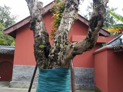 -成都武侯祠博物馆