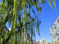 -元大都城垣遗址公园
