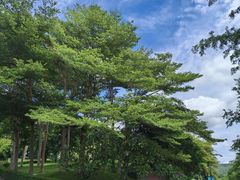 -三亚南山文化旅游区