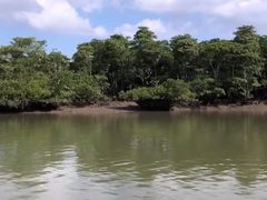 -东寨港红树林旅游区