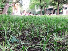 -国子监街18