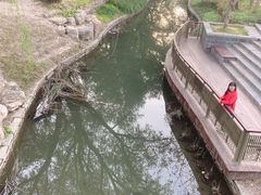 -北坞公园