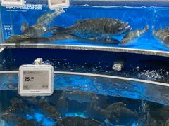 -盒马鲜生(富田新天地店)
