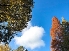-云南滇池花园国际大酒店温泉