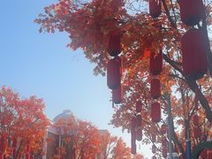 -沈阳方特欢乐世界