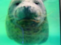 -嘉兴海底世界