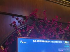 -骑士KTV(红谷滩万达店)