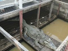 -洞里萨湖