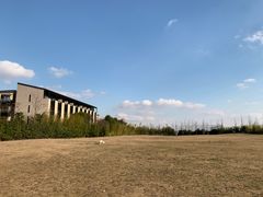 -上海崇明金茂凯悦酒店