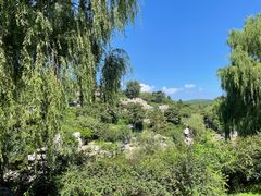 -北京西山国家森林公园