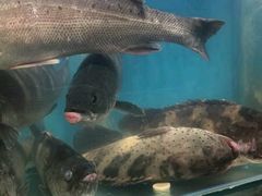 -船梆煮•蒸汽海鲜·生腌干蒸(五四广场店)