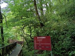 -龙苍沟森林公园