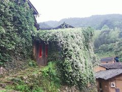 -杨家堂村