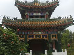 -武清南湖绿博园