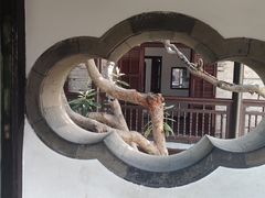-何园
