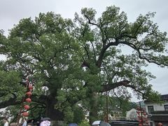-新安江山水画廊风景区