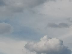 -重庆海昌加勒比海水世界