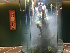 -泰悠谷养生SPA(世茂商业街店)
