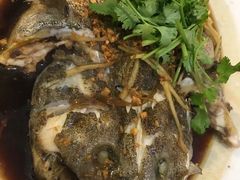 -大树下海鲜饭店