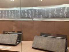 -烟台市博物馆