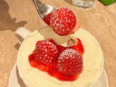 -O'eat Blossom&Pelican(深圳首店)