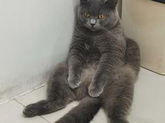 -佳雯宠物医院·皮肤科·内外科(春晓路分院)