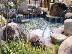 -龙佳生态温泉山庄