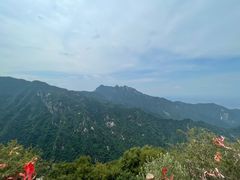 -秦岭终南山世界地质公园翠华山景区