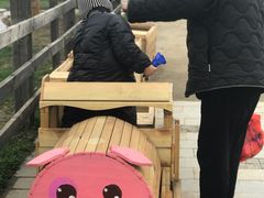 -田园东方蜜桃村的田野营地