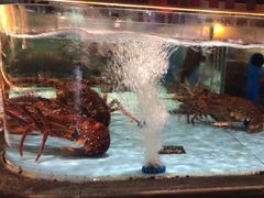 -阿伟海鲜楼·福建菜(延寿店)