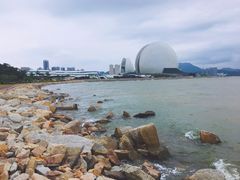 -野狸岛