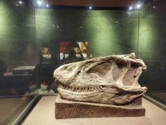 -自贡恐龙博物馆