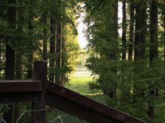 -黄海国家森林公园