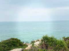 -广东惠东海龟国家级自然保护区