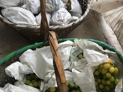 -马陆小张葡萄园农家乐