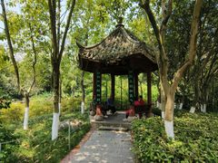 -龙头寺公园