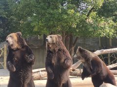 -常州淹城野生动物世界