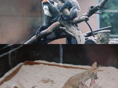 -宁波野生动物园