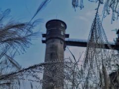 -春涛餐馆(下坝店)