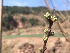 -金堂县云顶石城风景区