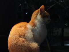 -荔香公园