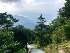 -梧桐山风景名胜区