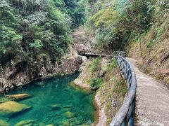 -龙湾潭国家森林公园