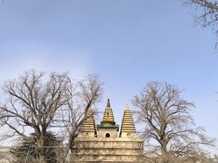 -北京石刻艺术博物馆(五塔寺)