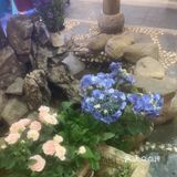特色菜今日之选
