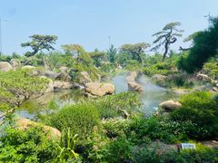 -罗红摄影艺术馆